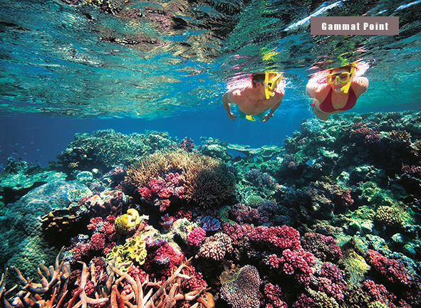285179_0_Bali